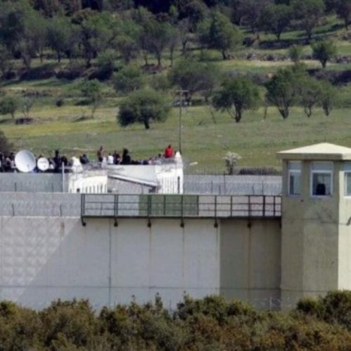 φυλακες μαλανδρινου