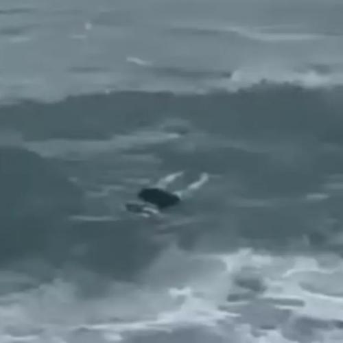 ιταλια μεταναστες