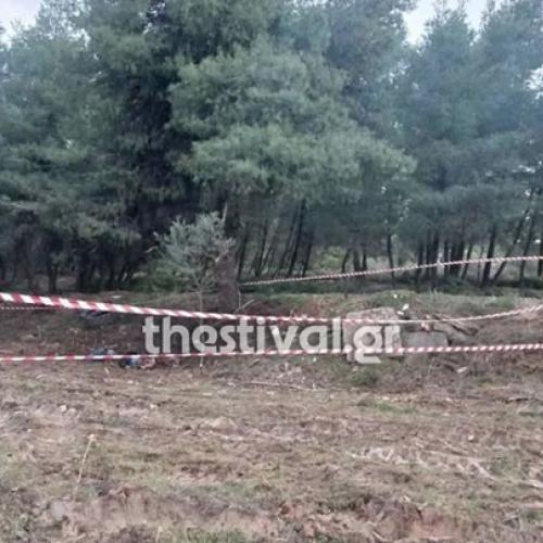 χαλκιδικη σορος