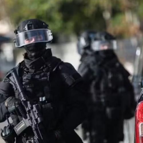 ελληνικο fbi