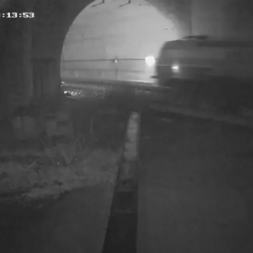 ΤΕΜΠΗ ΧΑΜΕΝΑ ΒΙΝΤΕΟ