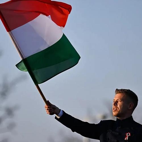 πετερ μαγιαρ