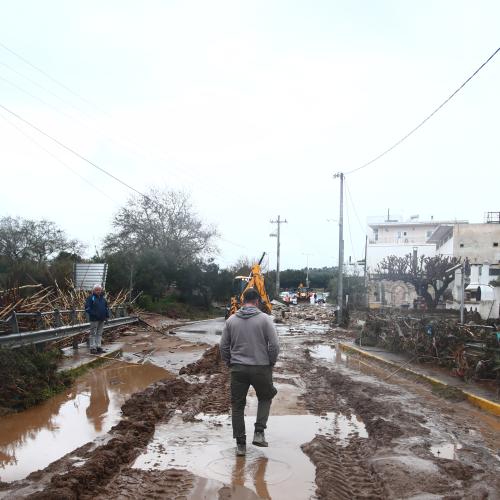 ραφηνα ermionio