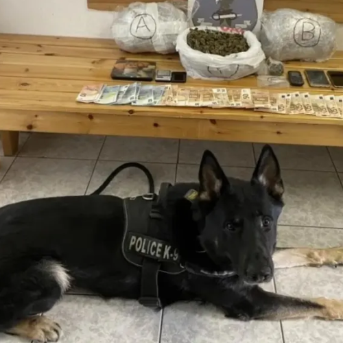 Θεσσαλονίκη: Ο «Ακύλας» εντόπισε κρυμμένη κοκαΐνη σε πορτ μπαγκάζ αυτοκινήτου