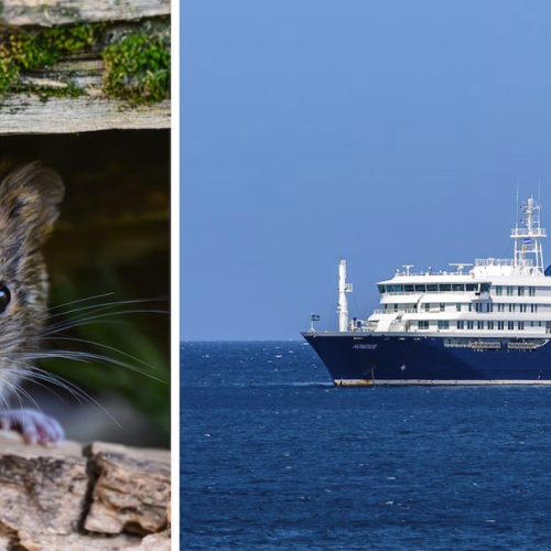 Σε καραντίνα ανοιχτά της Τενερίφης το MV Hondius μετά τα κρούσματα χανταΐου