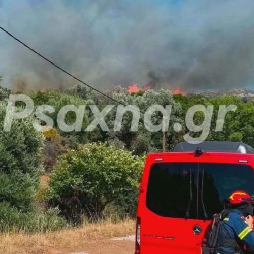φωτια , ευβοια καρυστος