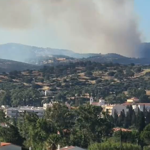 καυροστος
