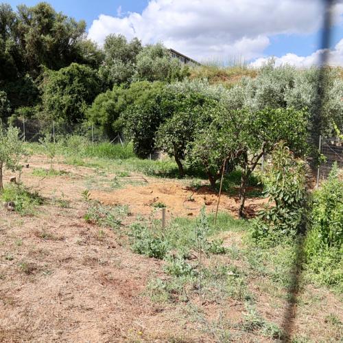 Το σημείο όπου βρέθηκε η σορός της Σταυρούλας Λεβεντάκη