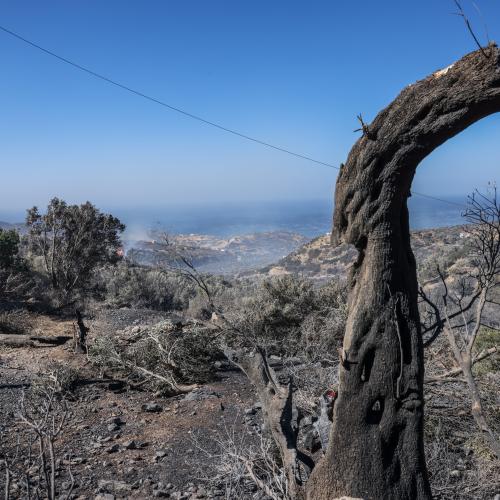 φωτια ρεθυμνο