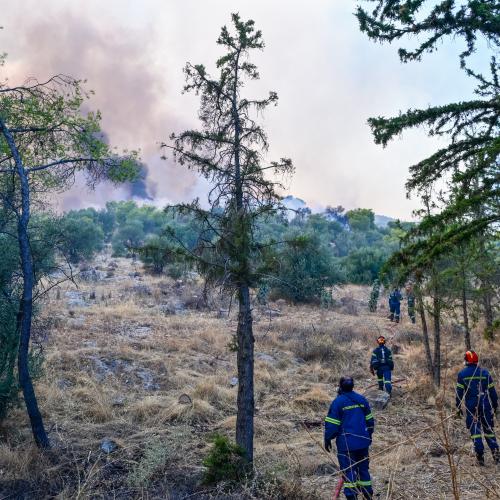  ΠΥΡΚΑΓΙΑ ΣΤΗ ΠΕΡΙΦΕΡΕΙΑΚΗ ΑΙΓΑΛΕΩ ΚΙΑ ΣΤΟ ΠΟΙΚΙΛΟ ΟΡΟΣ