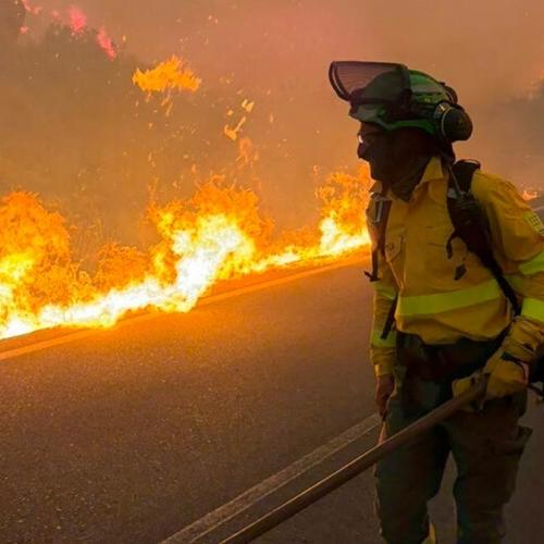 Ισπανία: Στους 13 οι νεκροί από τη φονική δασική πυρκαγιά στην Ανδαλουσία