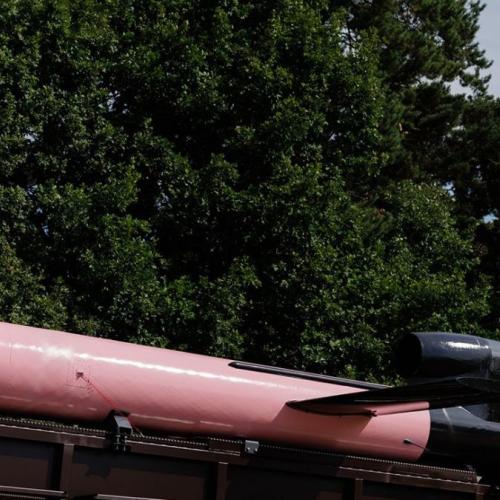 flamingo missile