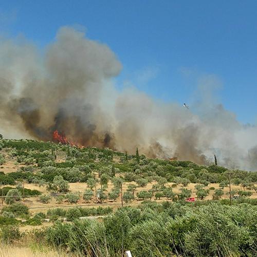 Φωτιά στην Αργολίδα: Νέο μέτωπο στη Χινίτσα – Ισχυρές δυνάμεις στην επιχείρηση κατάσβεσης