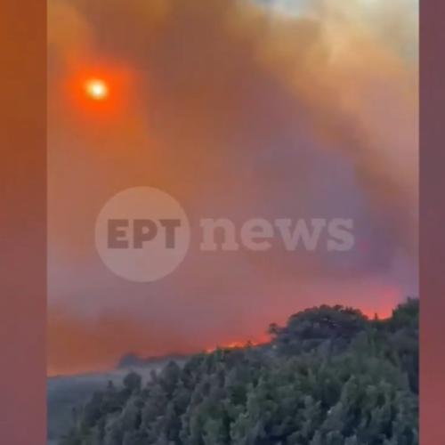 παρος