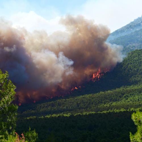 Στον εισαγγελέα οι δύο συλληφθέντες για τη μεγάλη πυρκαγιά σε Βοιωτία και Αττική - Κατηγορούνται για εμπρησμό