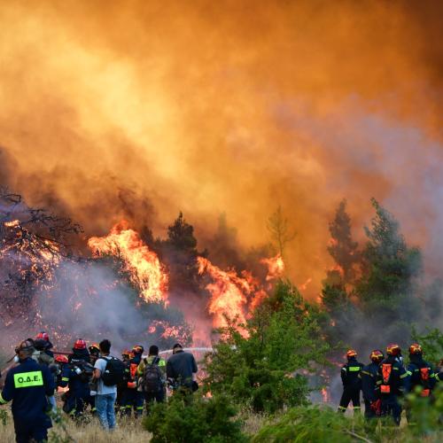 Μαίνεται η μεγάλη πυρκαγιά από τη Βοιωτία έως τη Δυτική Αττική – Μάχη για να μην φτάσουν οι φλόγες σε Βίλια και Μέγαρα