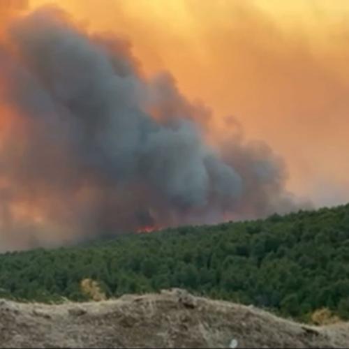 Πυρκαγιά στη Σκύρο: Ενισχύθηκαν οι δυνάμεις δασοπυρόσβεσης – Προς το Πεύκο το μέτωπο