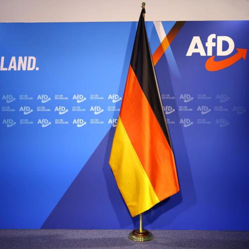 Τραμπ: Χαιρετίζει την άνοδο του AfD και την αποδίδει στους «φρικτούς» μεταναστευτικούς κανόνες της Γερμανίας