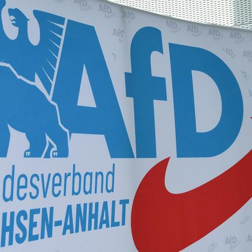 afd sachsen-anhalt